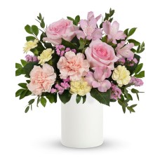 Wonderful Whimsy (Classic)