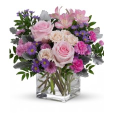 Rosy Pink (Classic)