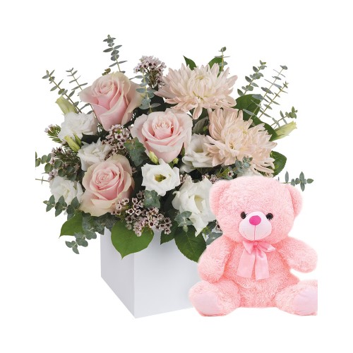 It's a Girl with Teddy (Classic)