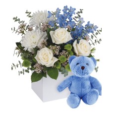 It's a Boy with Teddy (Classic)