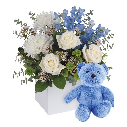 It's a Boy with Teddy (Classic)
