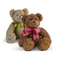 Neutral Teddy Bear