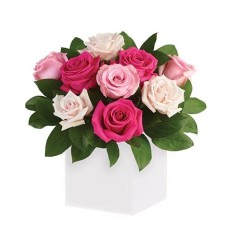 Blushing Roses