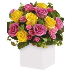 Rosy Sunshine