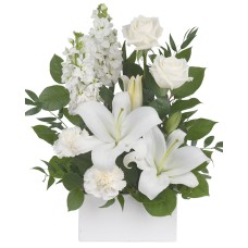 White Simplicity (Classic)