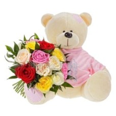Pretty bear (Medium)