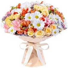 Tremulous Compliment (Large)
