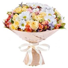 Tremulous Compliment (Medium)