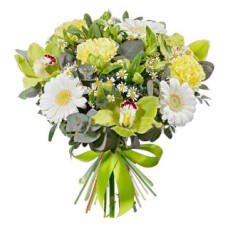 Freshness of Dew (Small)