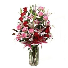 Lily Love