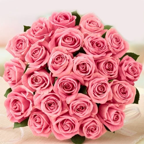 Pink Sensations
