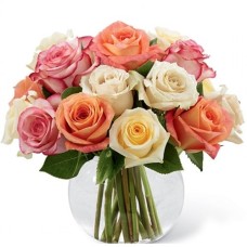 18 Mixed Roses
