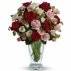 Marvelous Roses