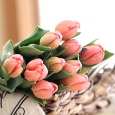 Pink Pearls