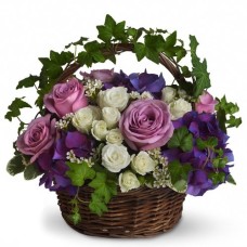 Italian Blooms