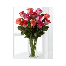 1 Dozen Assorted Color Roses