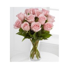 Imported Pink Roses Vase (1 Dozen)