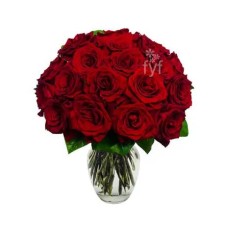 18 Red Roses#2
