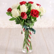 Xmas 12 Red and White Roses in Glass Vase
