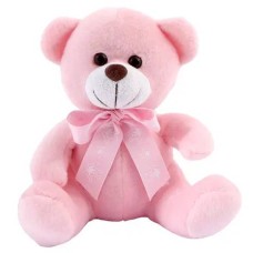 Medium Size Pink Color Teddy Bear