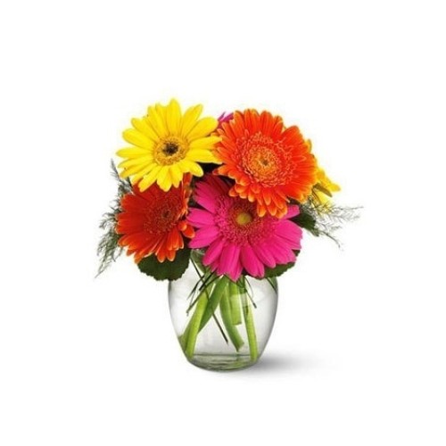 07-Gerbera