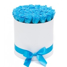 2 Dozen Blue Color Roses in a Box