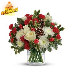 X-mas in Vase