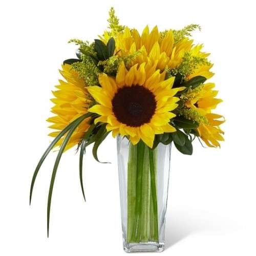 6 Pieces Long Stem Sunflowers in Vase