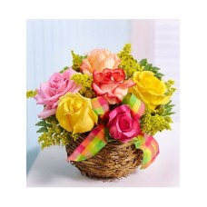 11-Imported-Roses