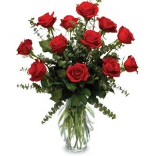 Perfect Deep Red Rose Perfect Deep Red Rose