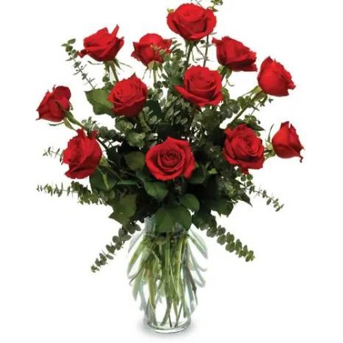 Perfect Deep Red Rose