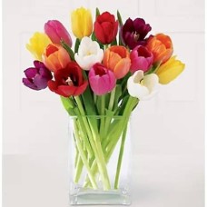 One Dozen Assorted Tulips in a Vase