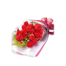 15-Carnation 15-Carnation