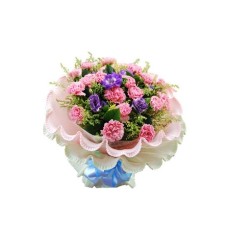 17-Carnation