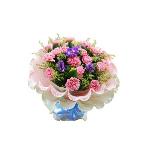 17-Carnation