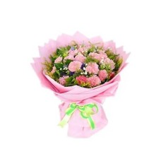 10 Carnations with Green leaves#20