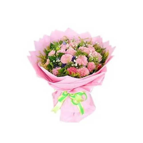 10 Carnations with Green leaves#20