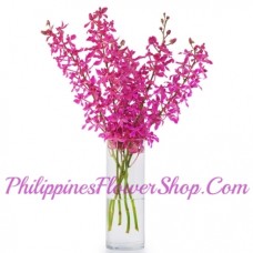 10 Stem Purple Orchids in Vase