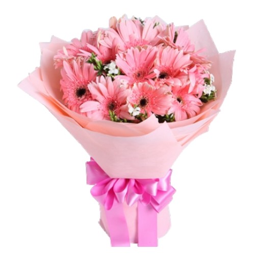 20 Pink Gerberas Bouquet