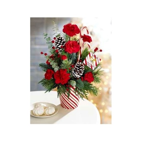 Red Carnations, greens & pines#21