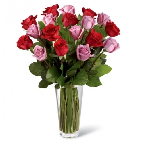 24 Hot Red & Pink Roses #24