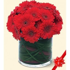 Daisy Deco#26