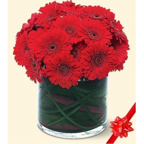 Daisy Deco#26