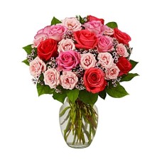 24 Pink & Red Roses in Various Shades#35