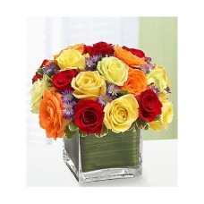 52-Rose-Vase