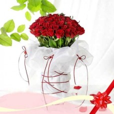 50 tall standing Roses#53