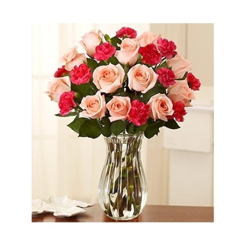 24 Red & Pink Roses in a Vase