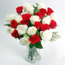 62-Rose-Vase 62-Rose-Vase