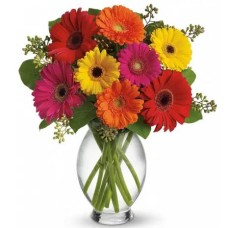 10 Assorted Gerberas in Vase