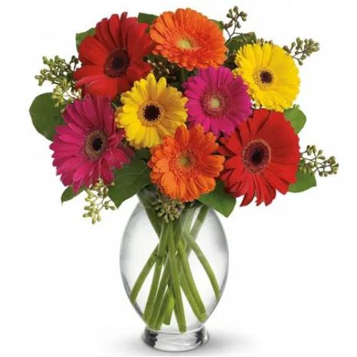 10 Assorted Gerberas in Vase